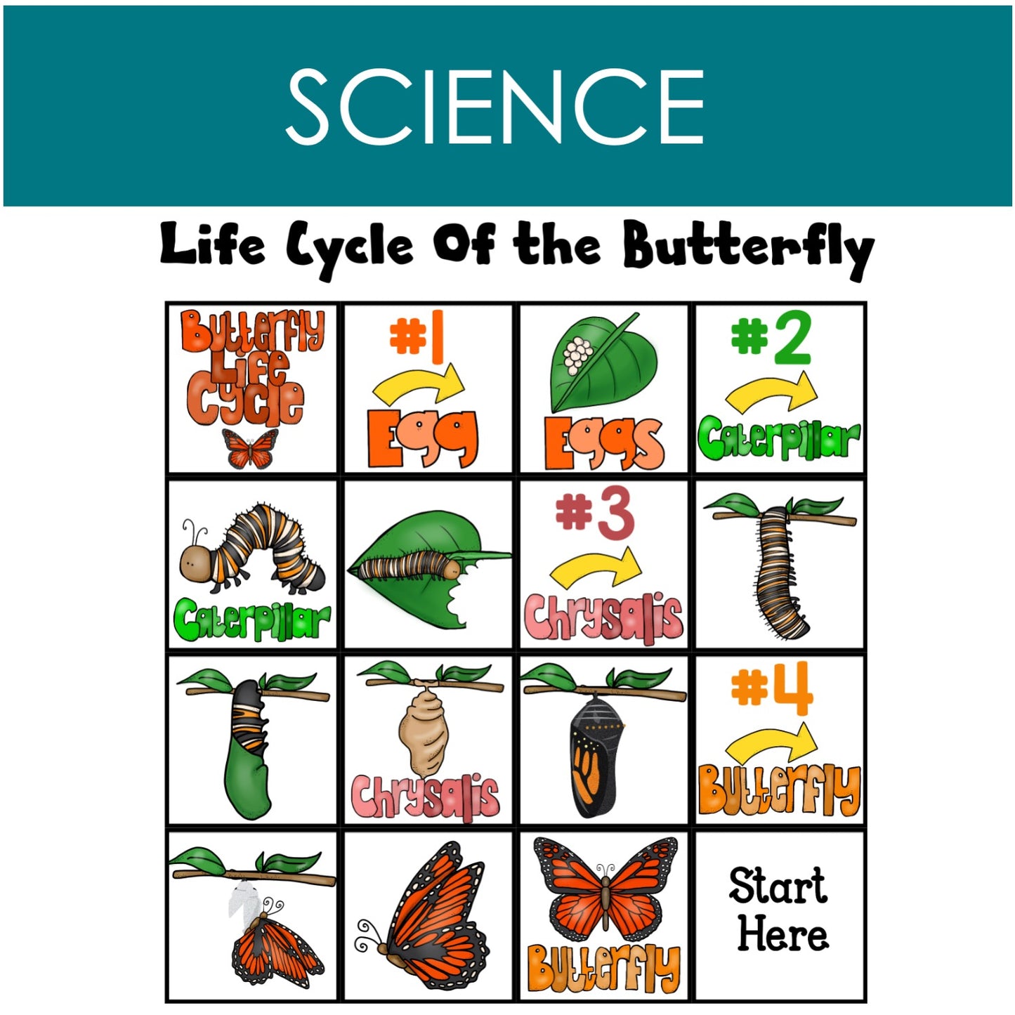 Life cycle of the butterfly BeeBot mat