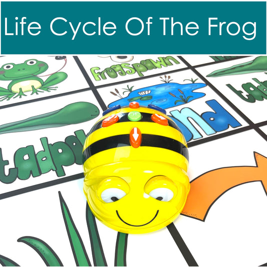 BeeBot mat life cycle of the frog