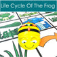 BeeBot mat life cycle of the frog