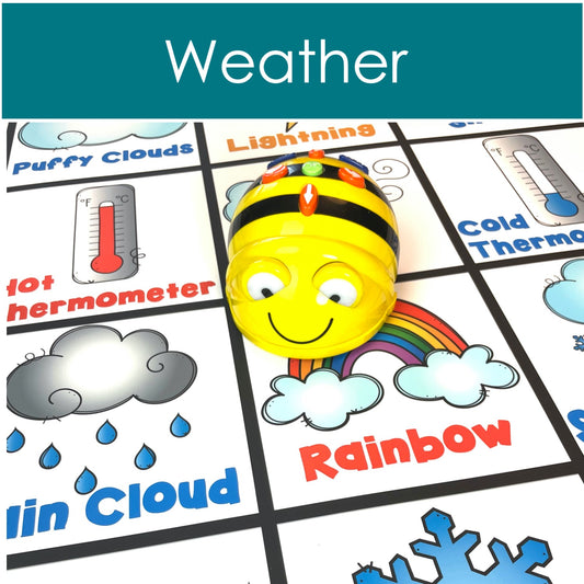 BeeBot weather mat