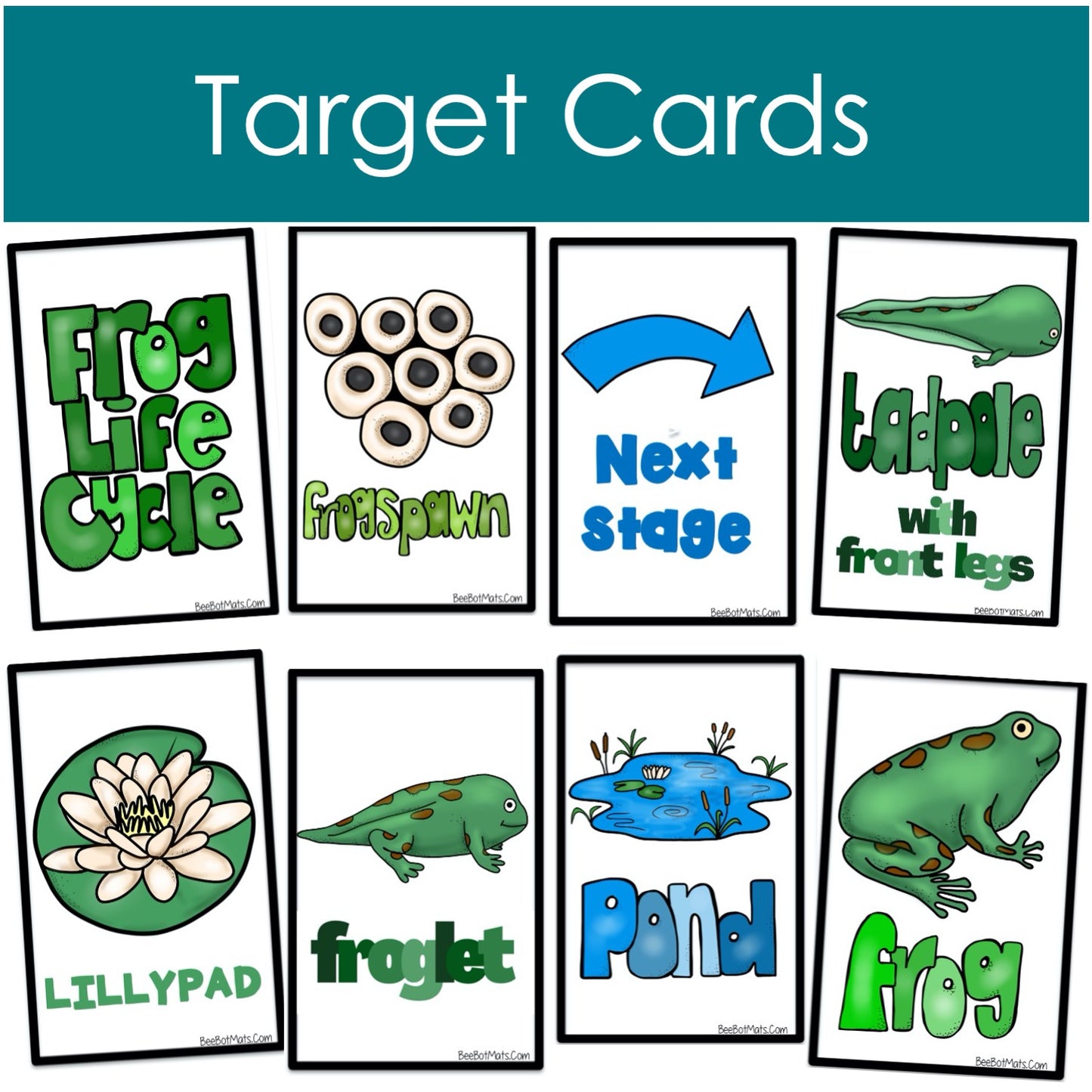 BeeBot Life Cycle of the Frog target cards